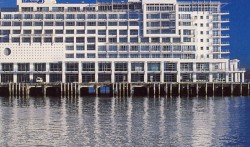 Hilton Auckland